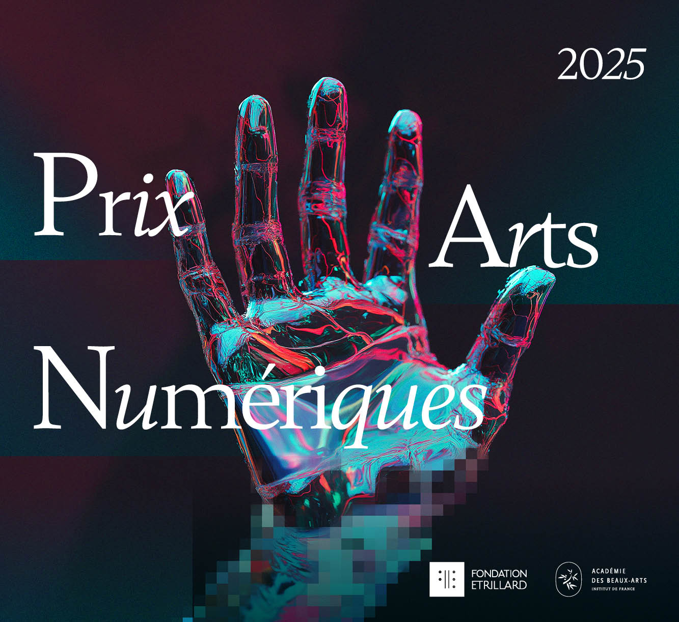 Prix Arts numériques Fondation Etrillard - Académie des beaux-arts