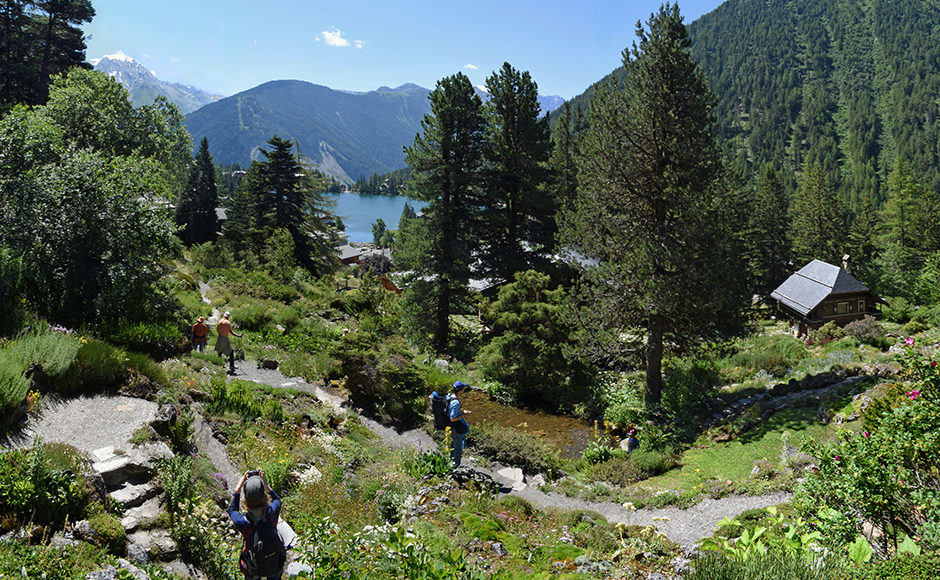 Lauréat 4ème édition du Prix du Patrimoine Naturel – Flore-Alpe 2024 - 2025