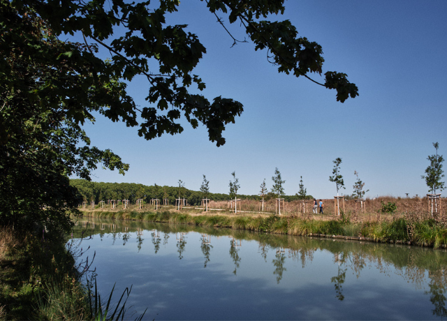 Restauration du canal du Midi, joyau du patrimoine français