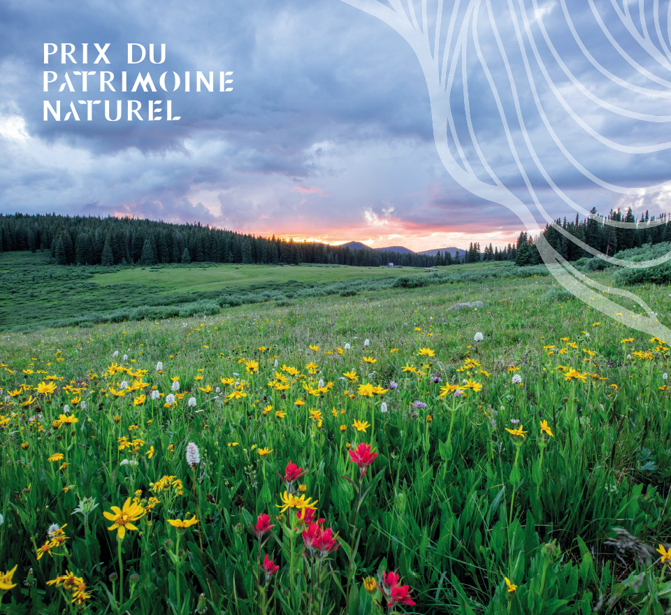 Over 20 entries for the Natural Heritage Prize