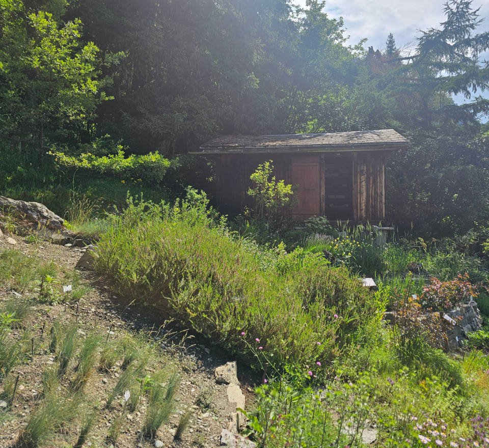 Le jardin botanique Flore-Alpe dévoile ses nouveaux aménagements