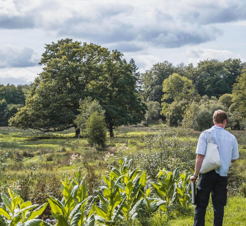 Master Gardeners on a trip to Creuse in France