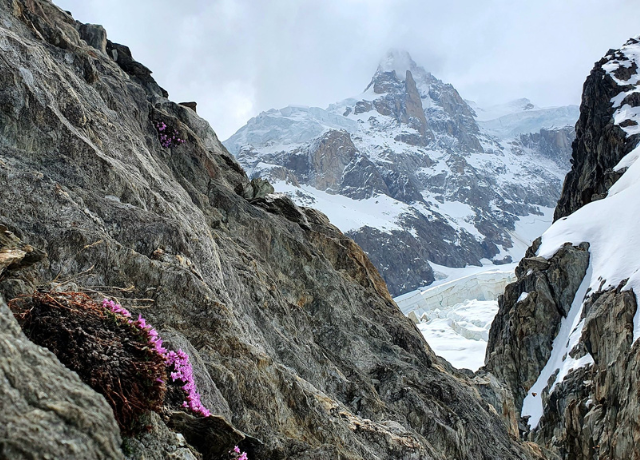 Soutien à la rénovation de l’Observatoire du Mont-Blanc2025 – (EN)