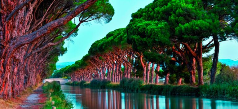 Restauration du canal du Midi, joyau du patrimoine français